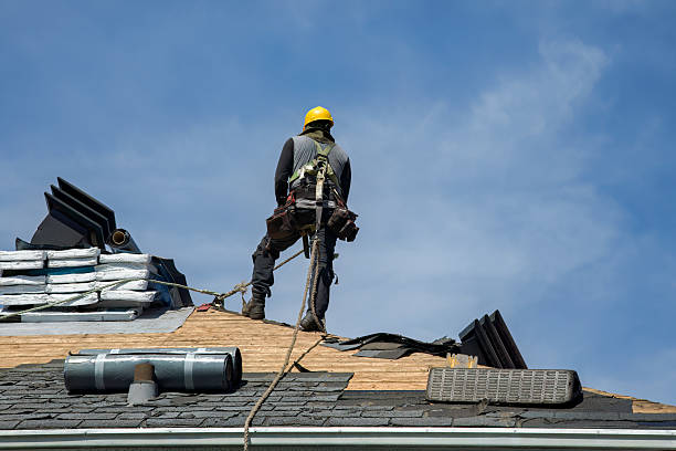 Professional Gutter Installation technician working in Cordova, NE